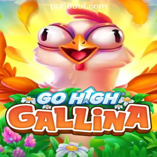 Exploring the Dynamics of GoHighGallina: An Immersive Gaming Experience
